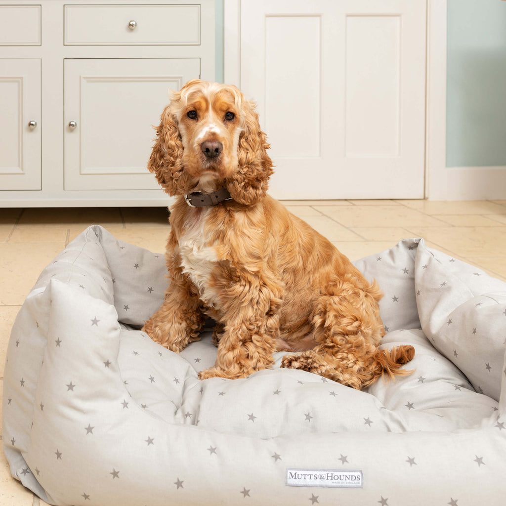 Mutts and hounds boxy bed #grey-stars