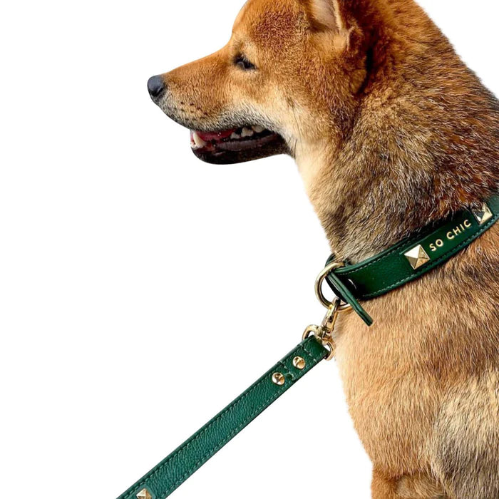 Pet so chic leather dog collar#color_forest-green